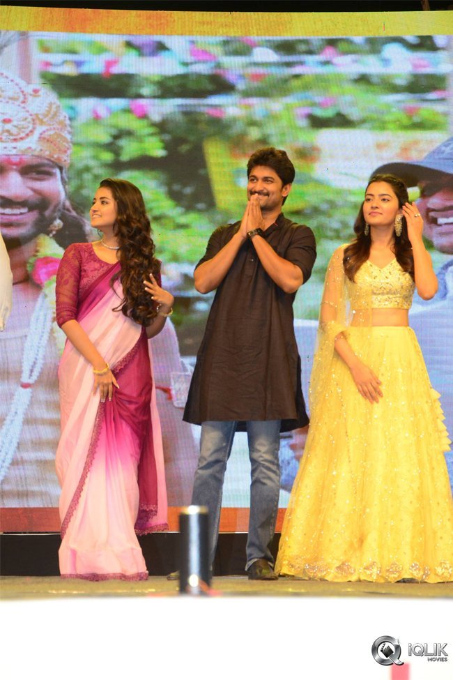 Krishnarjuna-Yuddham-Pre-Release-Function